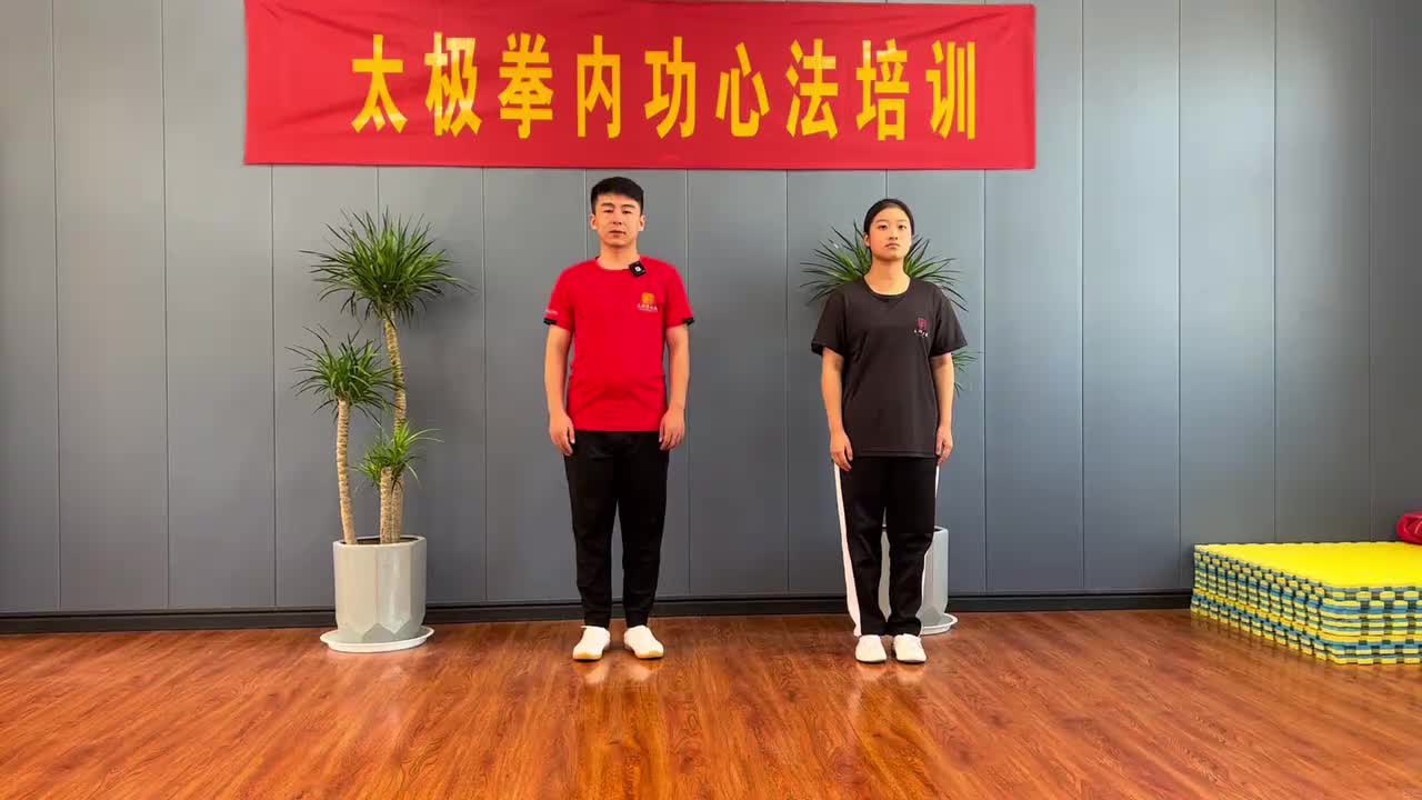 第41节太极步—左平铲步