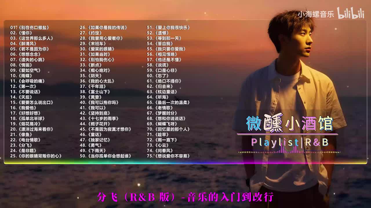 23. 音乐的入门到改行 - 分飞（微醺版）