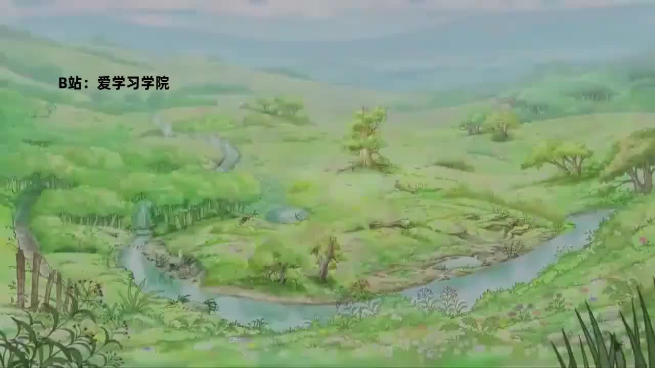 004 Spider s Web 蜘蛛网