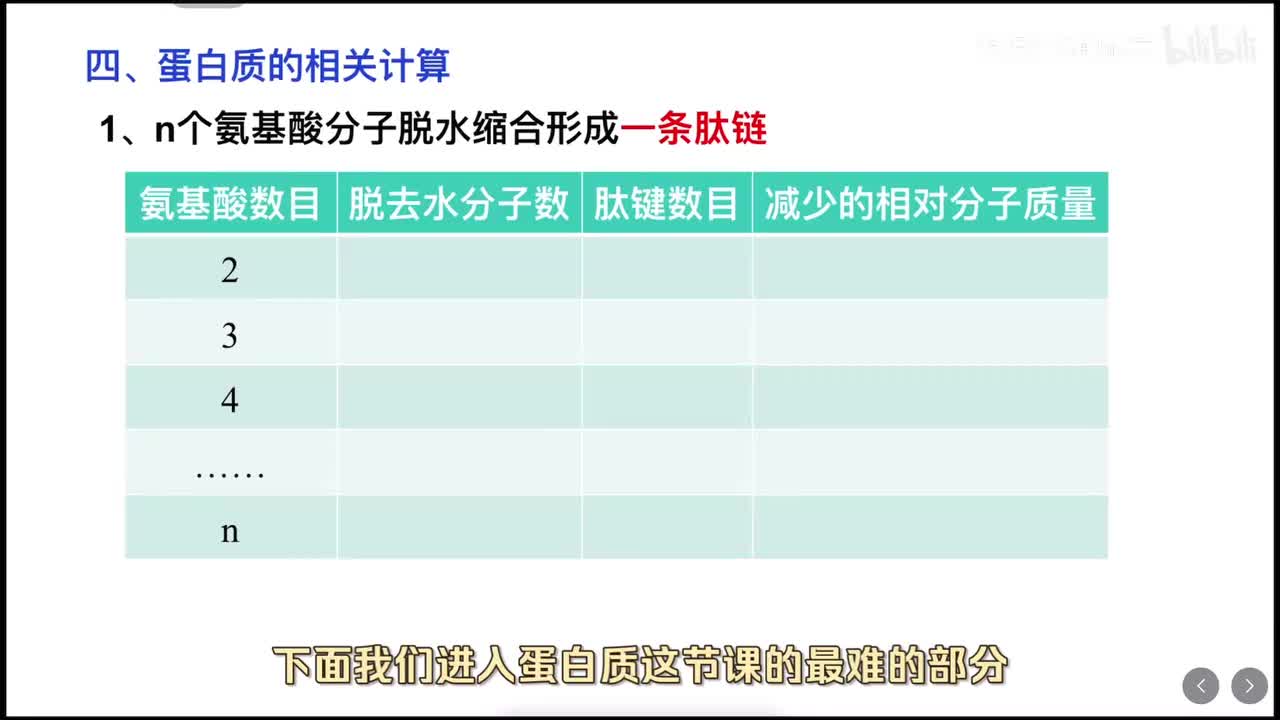 2.4 蛋白质（计算问题）