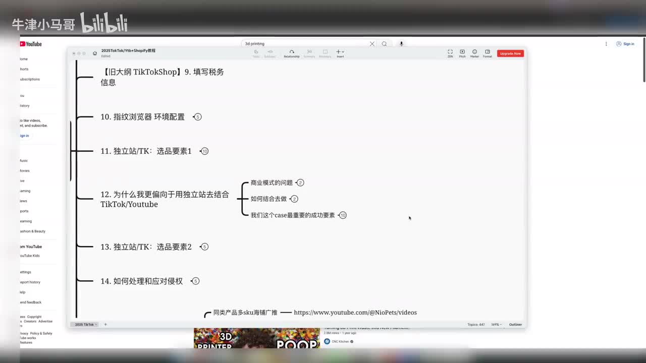 12. 为什么我更偏向于用独立站去结合TikTok Youtube