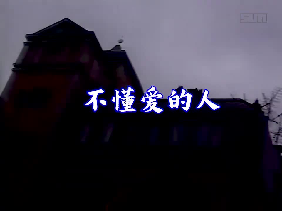 潘美辰 - 不懂爱的人 720P