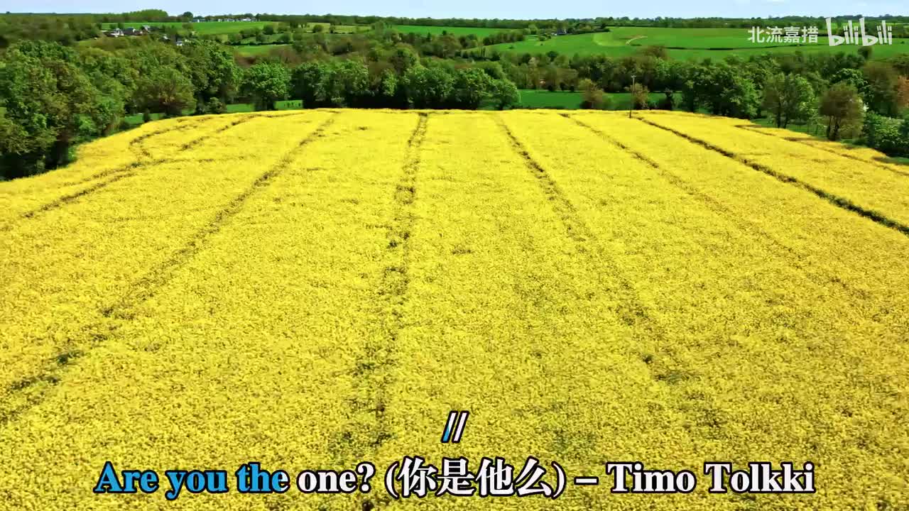 Are You the One - Timo Tolkki、Sharon den Adel