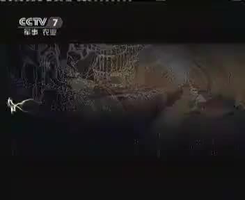 172777_FA3C