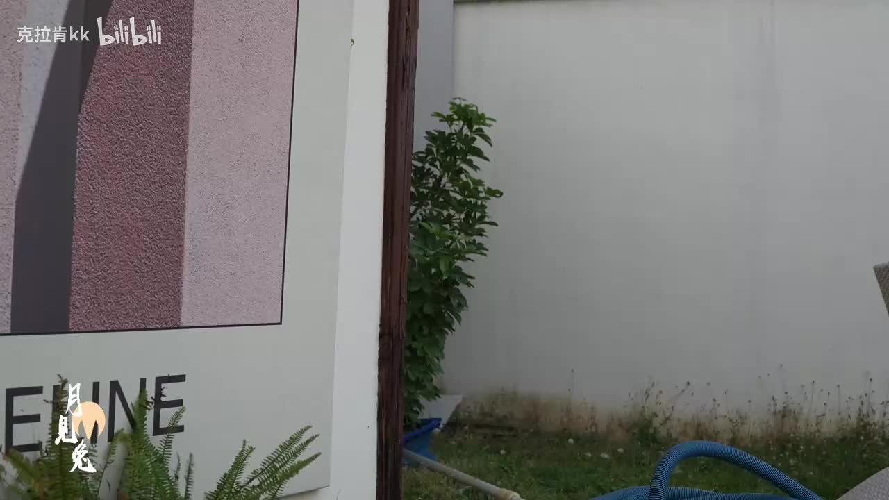 录制-286893-20251227-174224-102-喵喵球摄影签售会