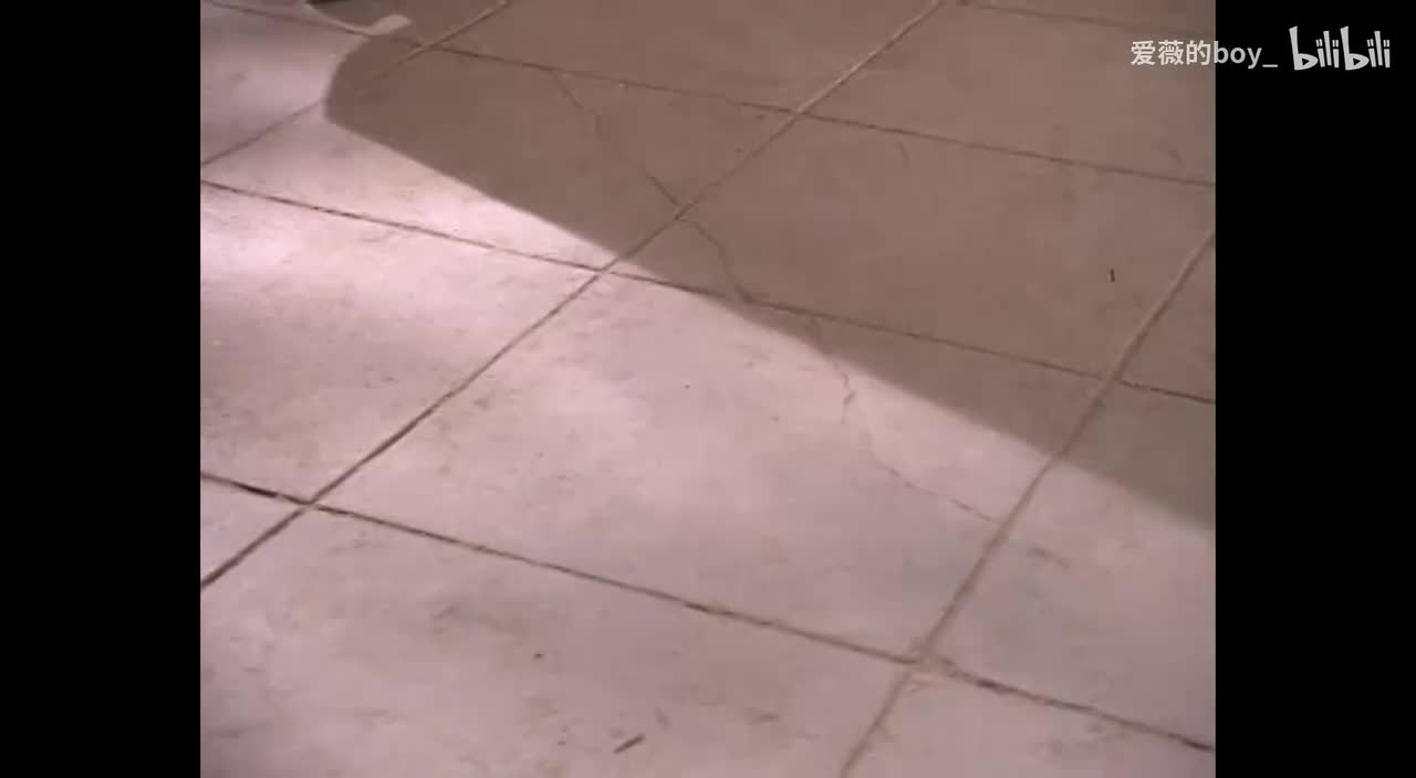 23、五阿哥尔康尔泰大牢里救走小燕子紫薇金锁