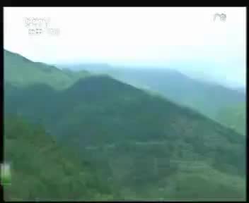 华源茶 2012.3.2