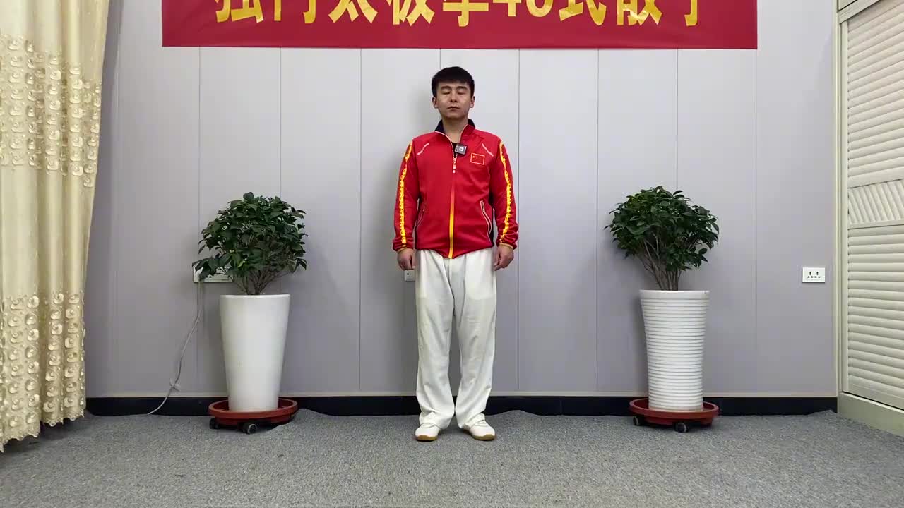 第91节拳理分享—上步震脚