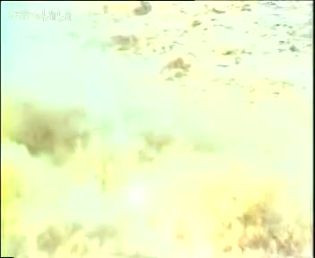 豫剧《杨家将》05 朱坤芳 袁国庆 杜建水 索文化 毛松奇