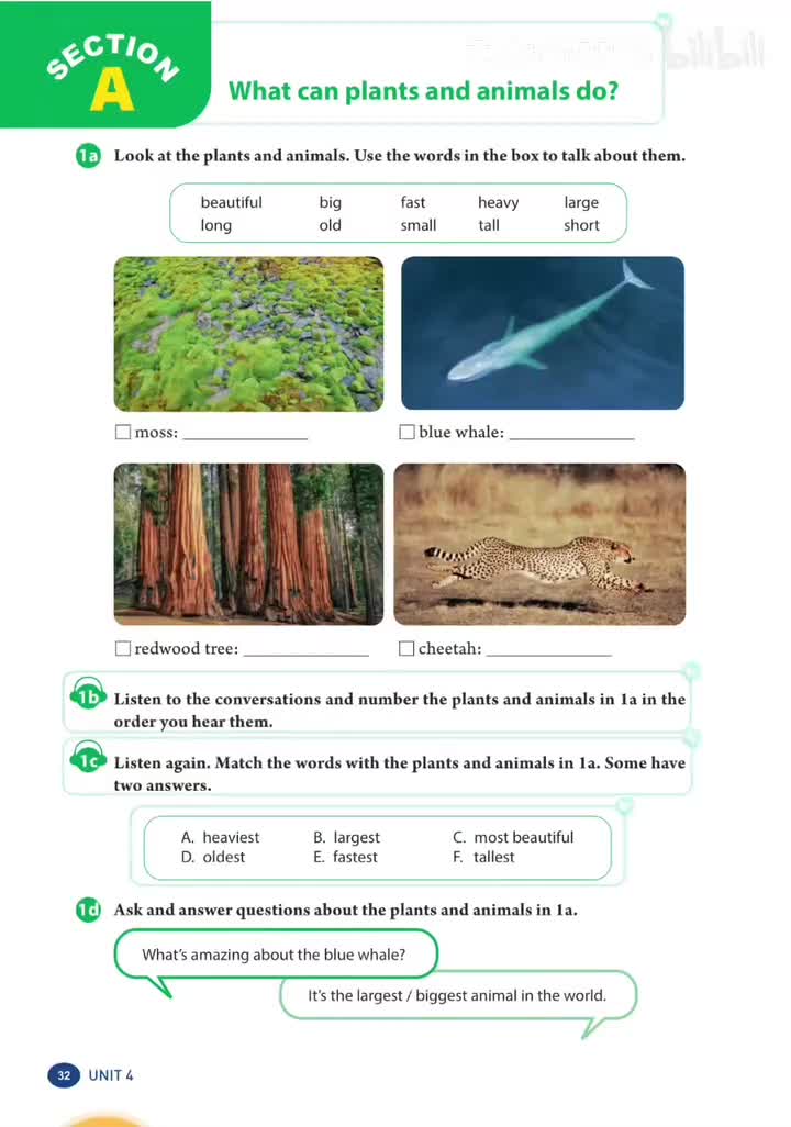 Unit 4 (p.32) 1b、1c