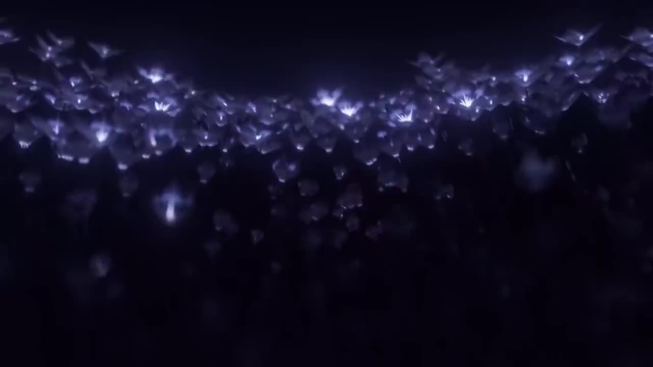 第二十四集 黑海岸