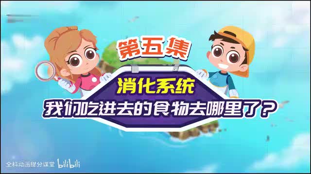 探秘冒险系列_P5_第5节：我们吃进去的食物去哪里了