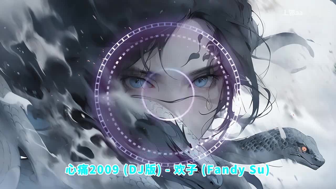 003. 心痛2009 (remix) - 欢子