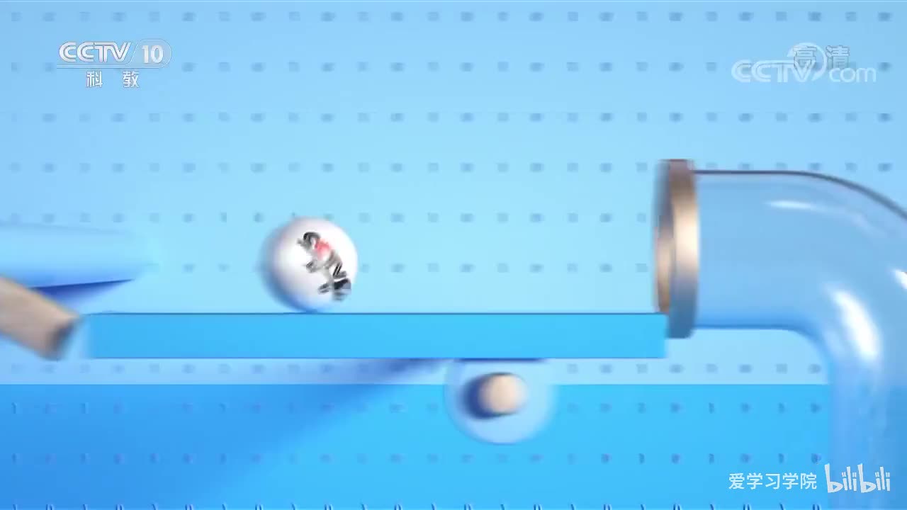 《跟着书本去旅行》20200429 美丽的西双版纳——傣乡泼水节