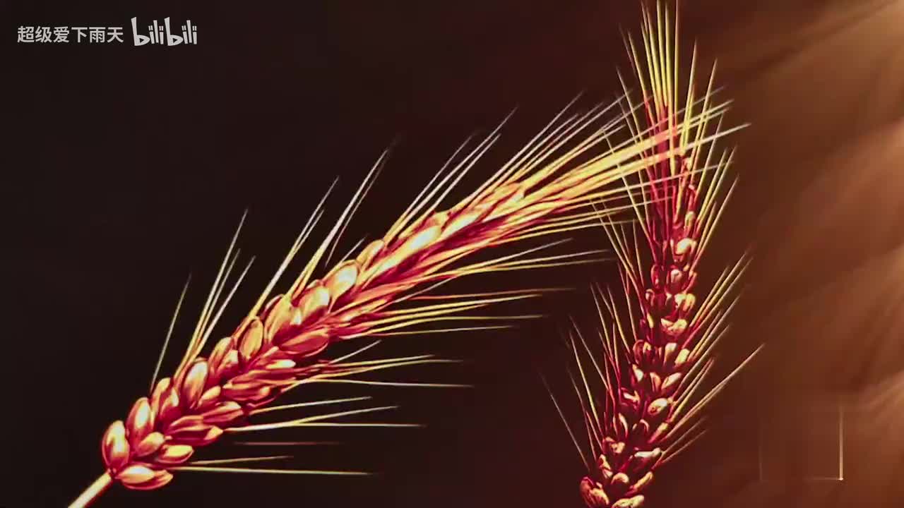 蔡程昱_陈依妙-芒种