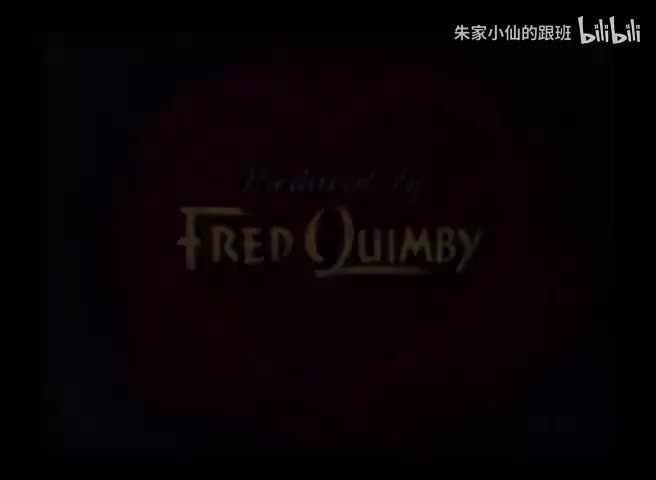 汤姆和猫小姐