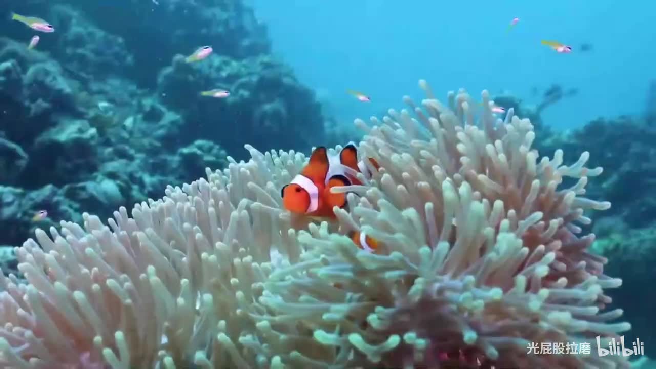 -多多关注-持续更新...