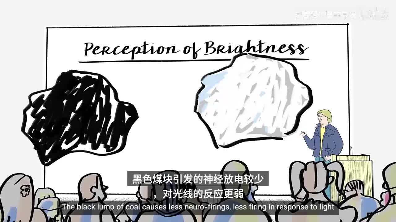 4_01_03_亮度感知