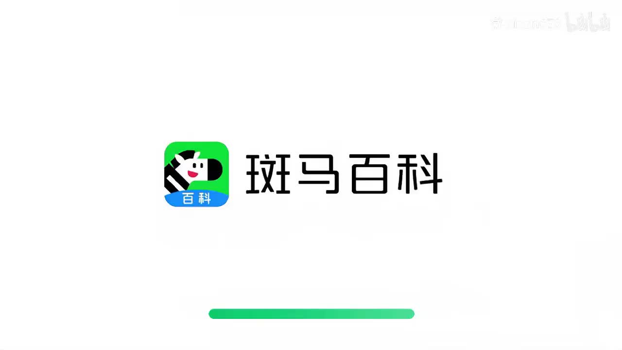 11.水上森林动物