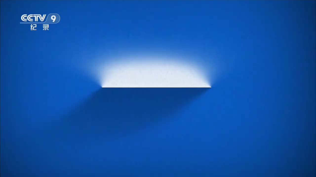 5 生生不息