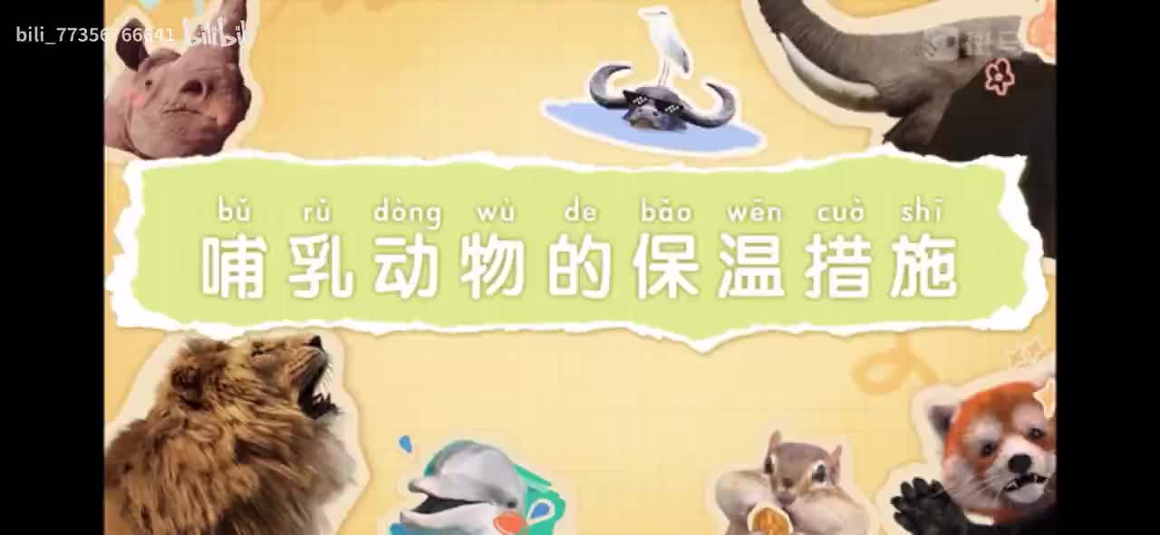 【百科启蒙动画】 B站更新最多的百科动画 搞定儿童科学启蒙 P8：08-哺乳动物的保温措施