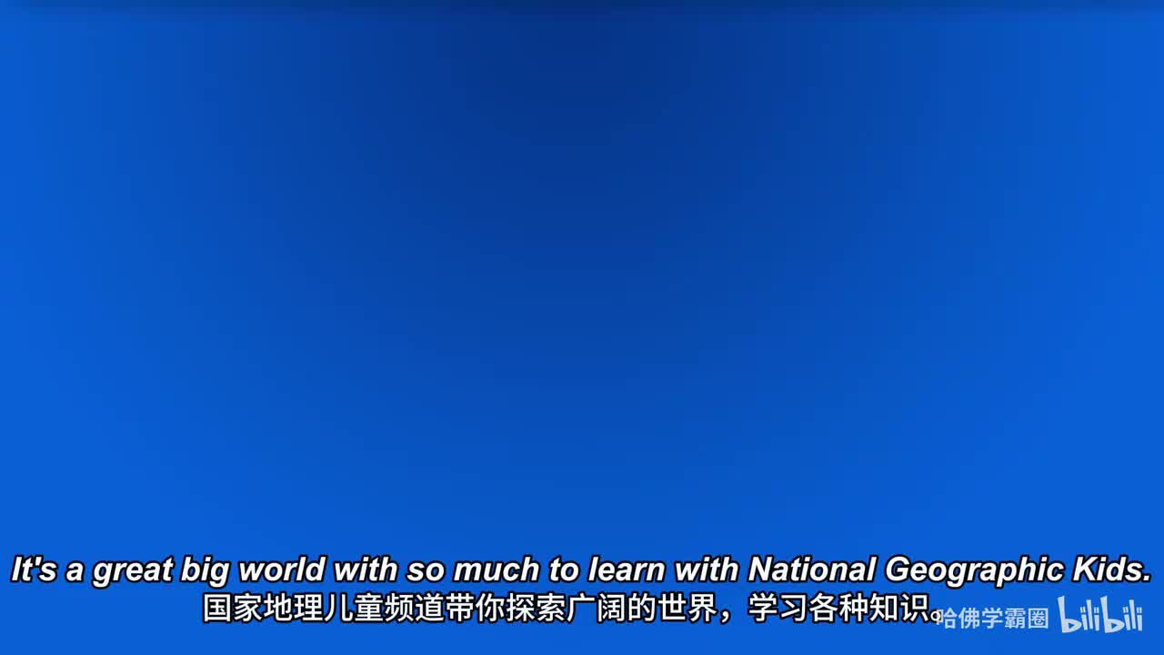 Nat Geo Kids Pet Tricks Playlist-04-The Best Pet Tricks 中英字幕