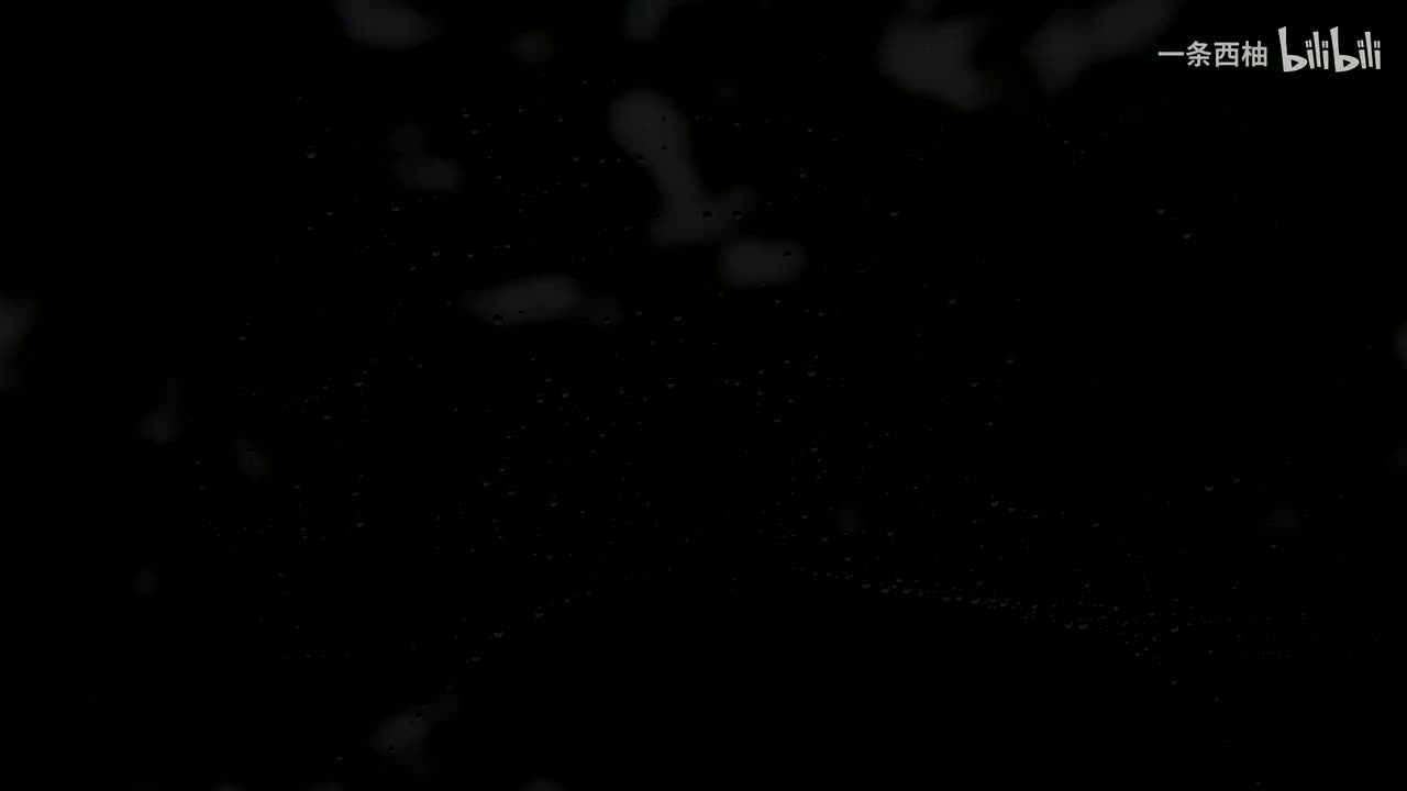 雨中氛围感 (37)