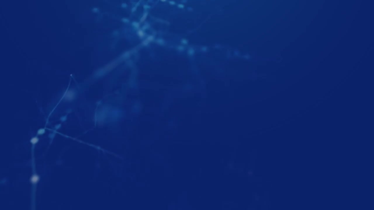 34 企业案例-车辆蓄电池指示灯亮起