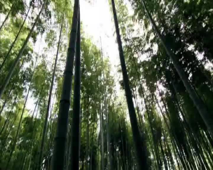 春秋祭：第01集