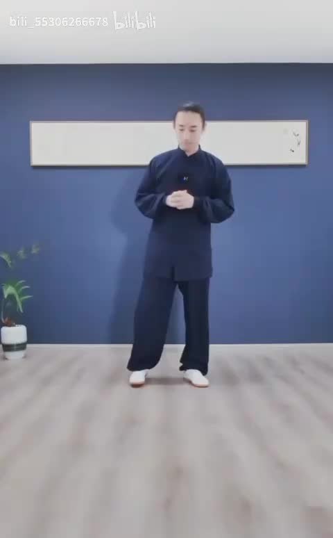 11.观天视地精讲（直播录屏）赠送