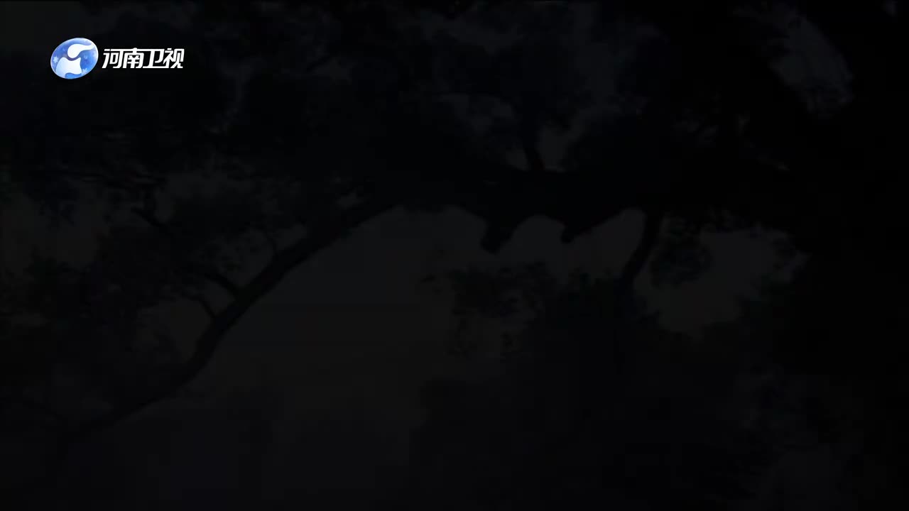 济公游记(22大结局)