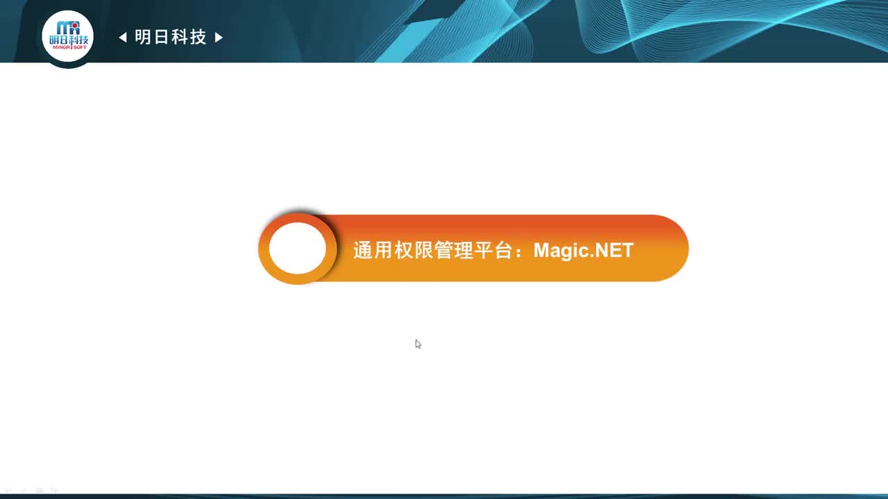 18.3 通用权限管理平台：Magic.NET