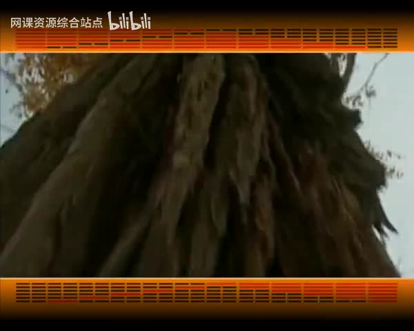 088_易经的智慧_（卦序35）_晋卦（下）宽以待人