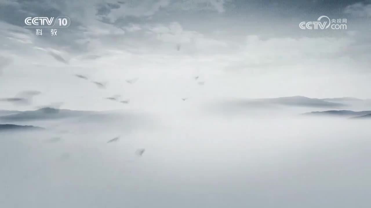 【第6集】报国篇