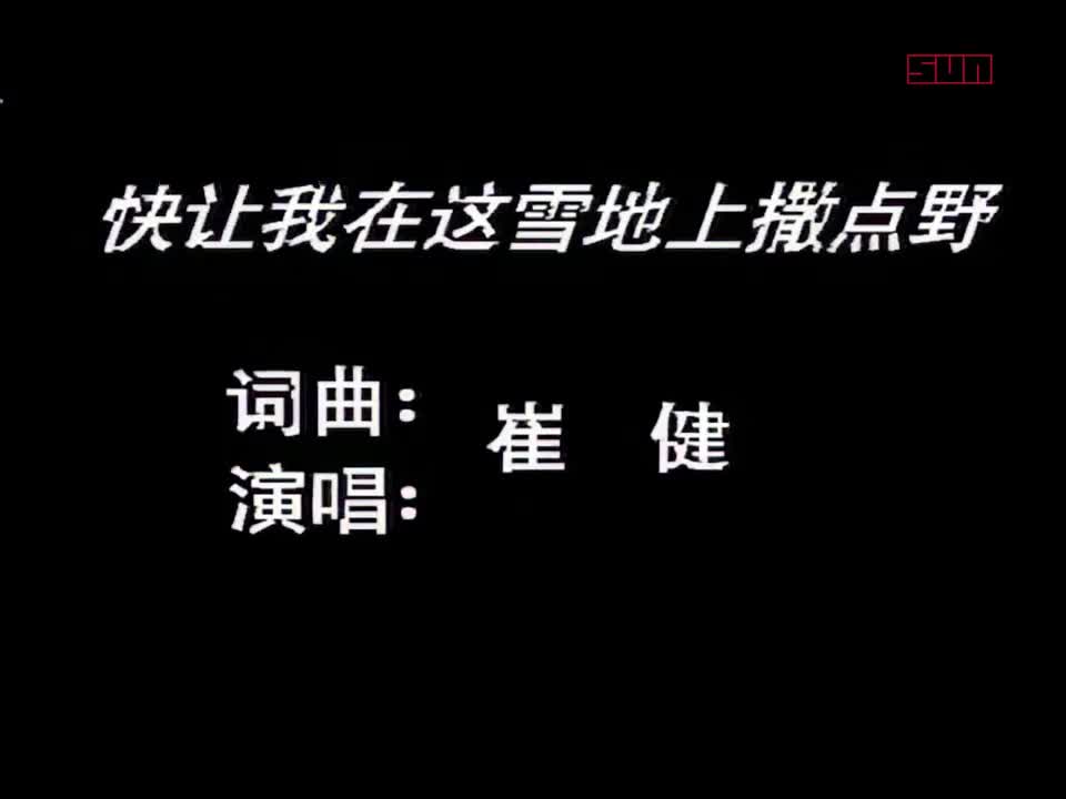 崔健 - 快让我在这雪地上撒点野 1080P