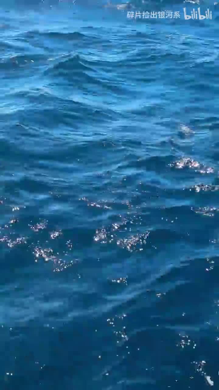 Have a nice day❤️