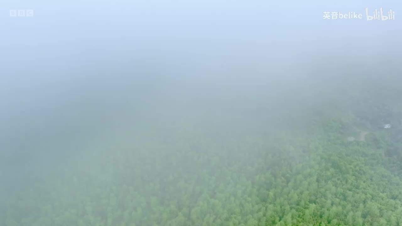 China's Greatest Treasures - Series 2- 3. The Art of Tea - BBC iPlayer