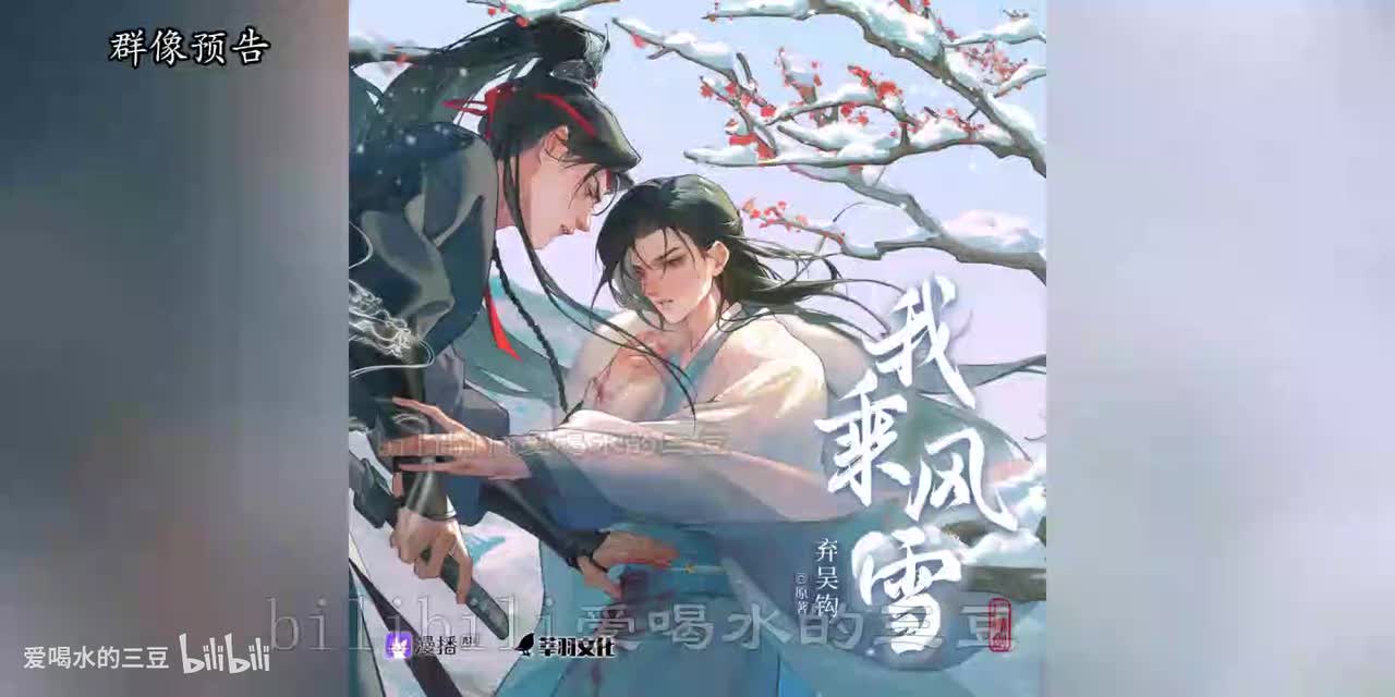 我乘风雪群像预告