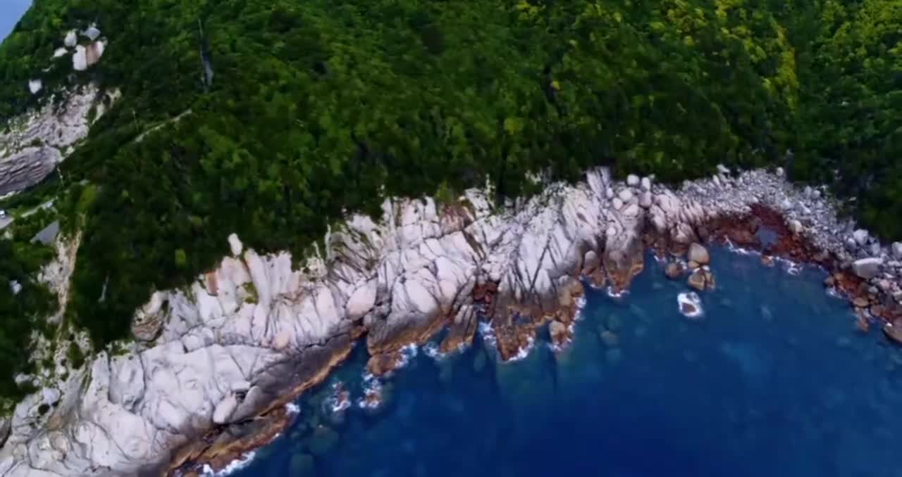 08.思修法基选择题技巧2