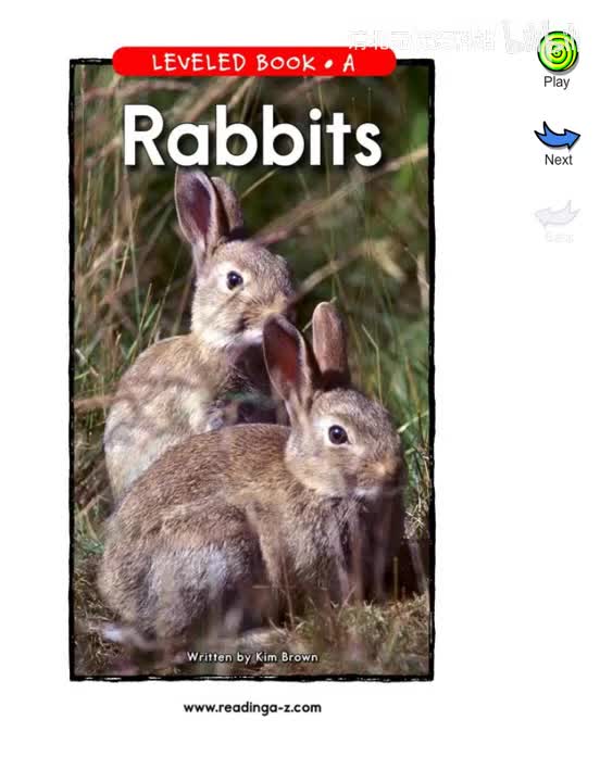 171-【071 A级】Rabbits