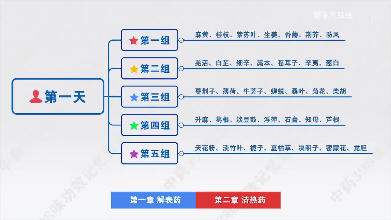 06 第六天 消食药、驱虫药、止血药、活血化瘀药