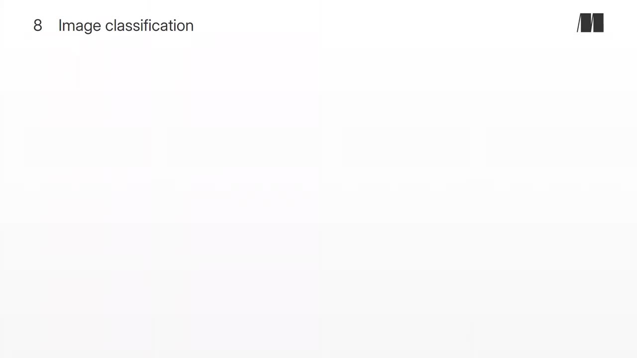 044. Chapter 8. Image classification