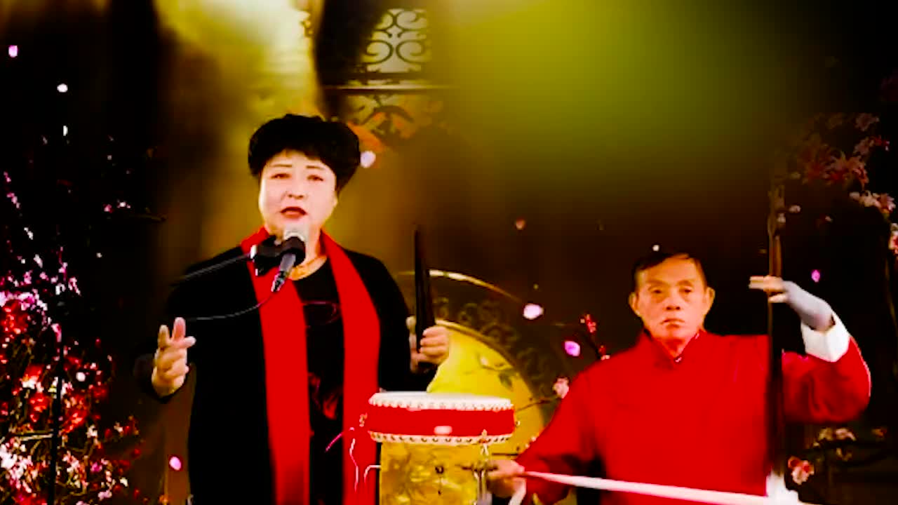 河南坠子 · 《呼家将》肖计英（25）