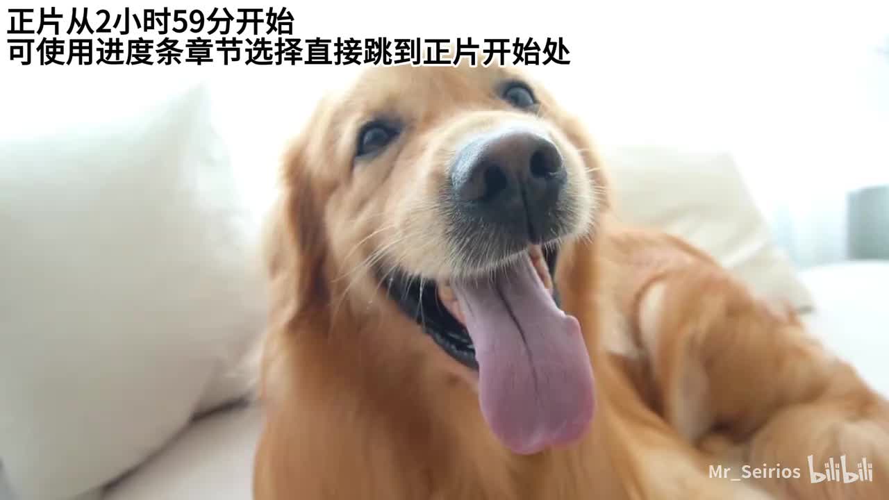 正片