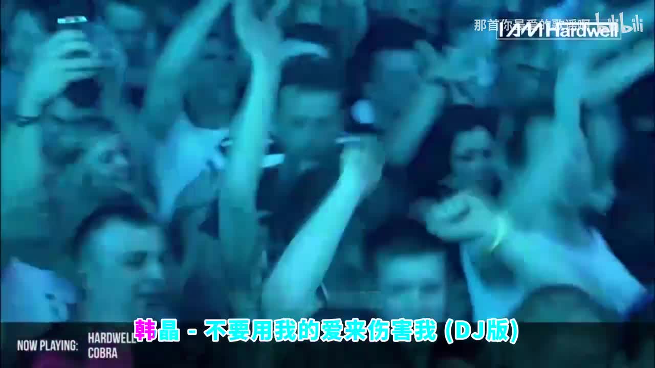 020. 不要用我的爱来伤害我 (DJ版) - 韩晶