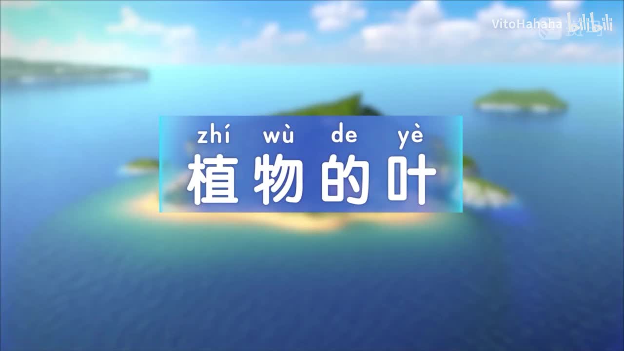 2.4.植物的叶