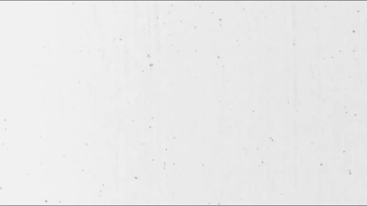 20220807 MANIFESTO DAY 1 'Foreshadow'