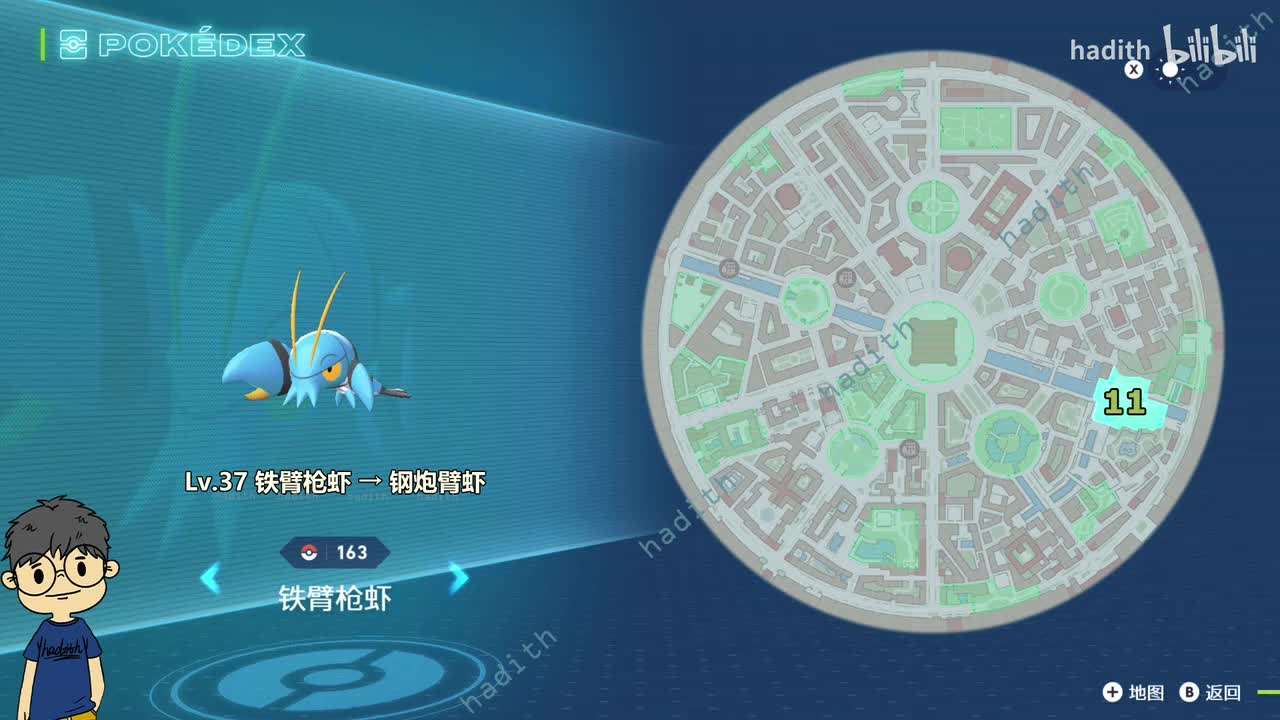 163-164 铁臂枪虾、钢炮臂虾