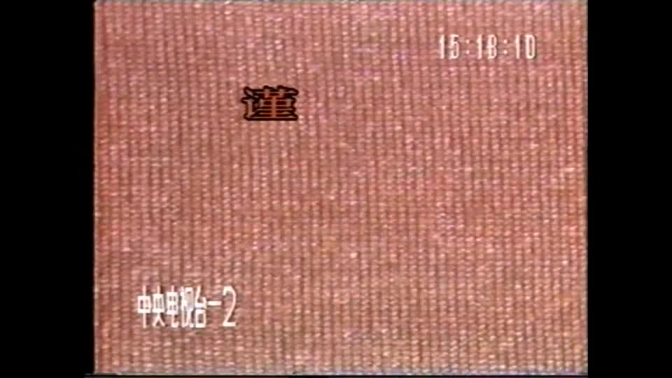 疾风劲草 第2集