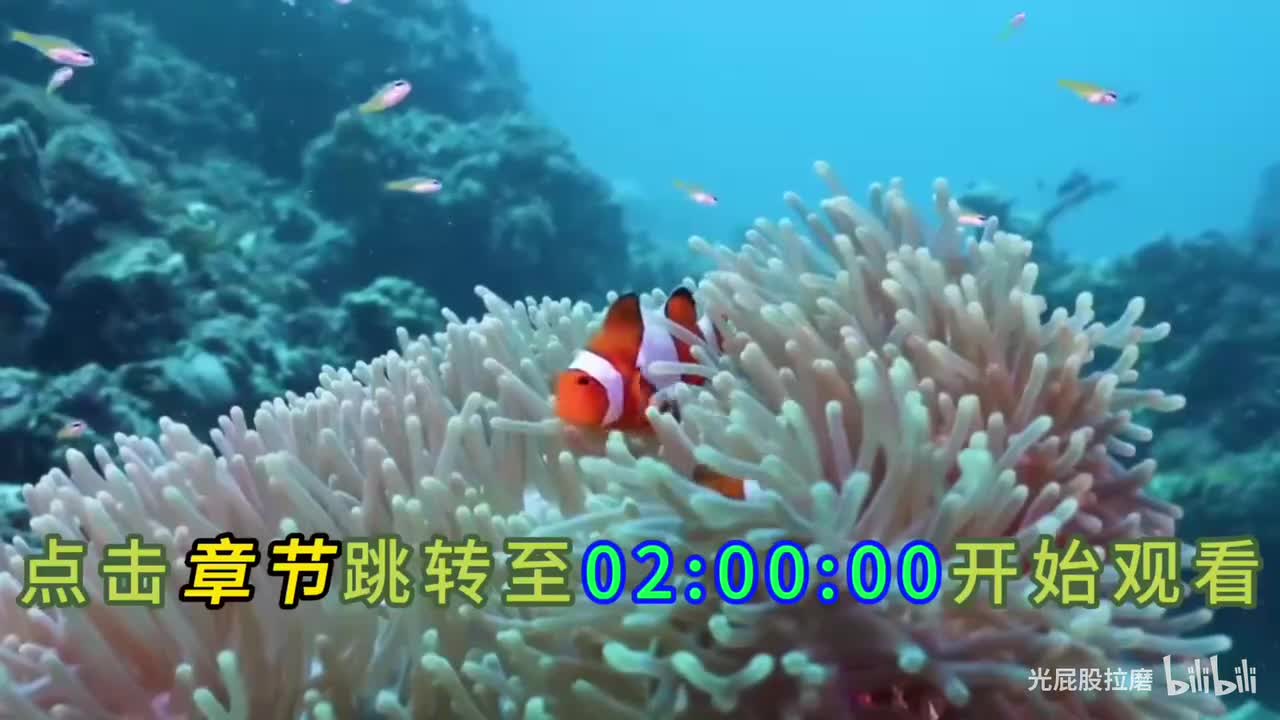 第1-2期